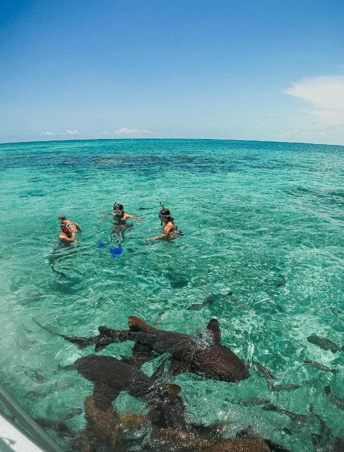 Bella's Backpackers Hostel Caye Caulker Buitenkant foto