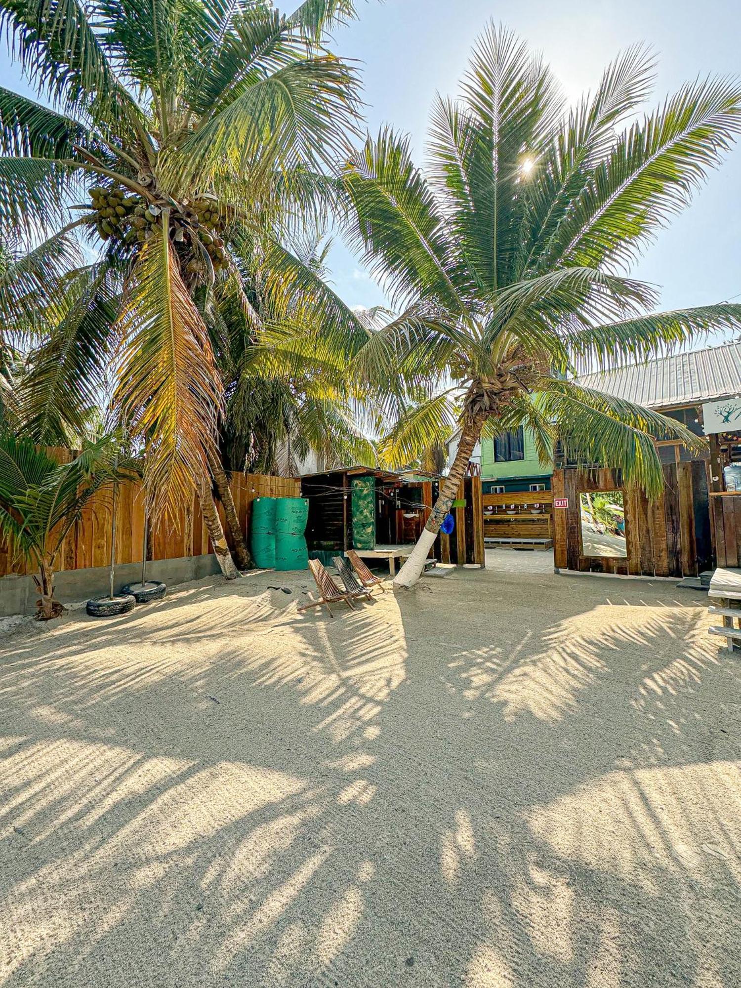 Bella's Backpackers Hostel Caye Caulker Buitenkant foto